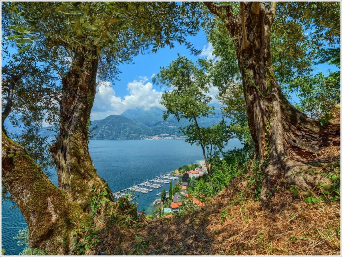 Ferienwohnung Fantastica Casa Poppo Bellano Exterior foto